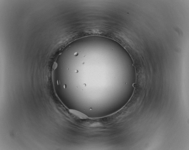 X0000112370747200908131517