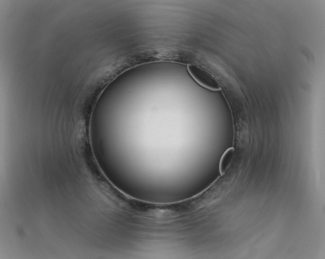 X0000112370748200908131517