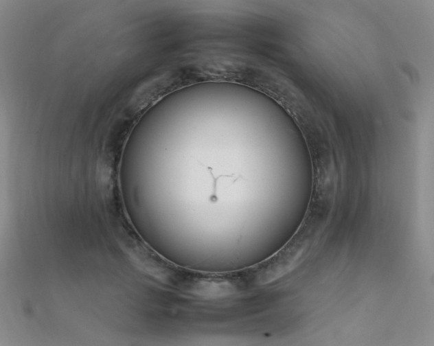 X0000112370749200908131517