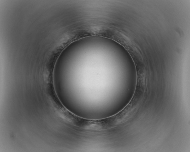 X0000112370750200908131517