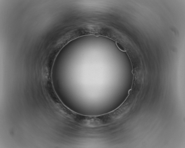 X0000112370752200908131517