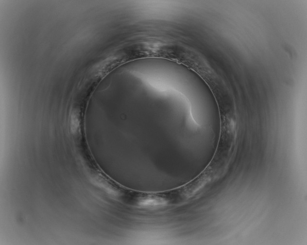 X0000112370754200908131517