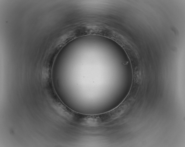 X0000112370756200908131517