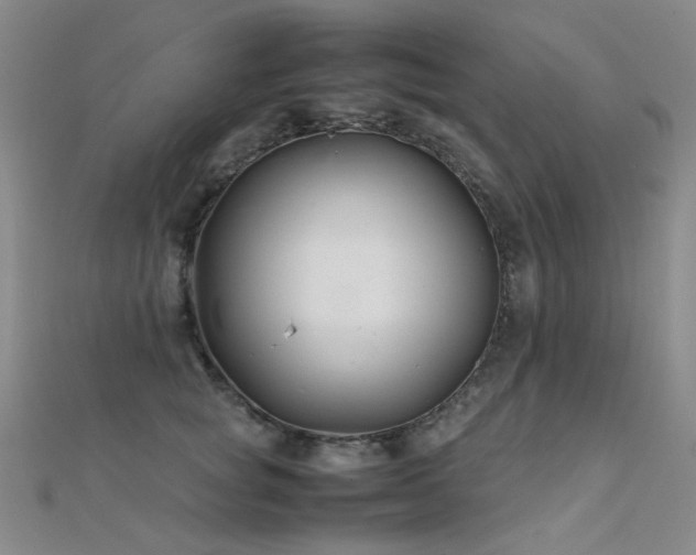 X0000112370757200908131517