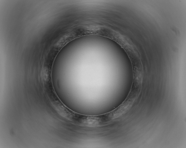 X0000112370758200908131517