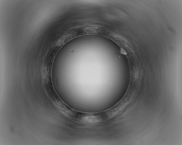 X0000112370759200908131517