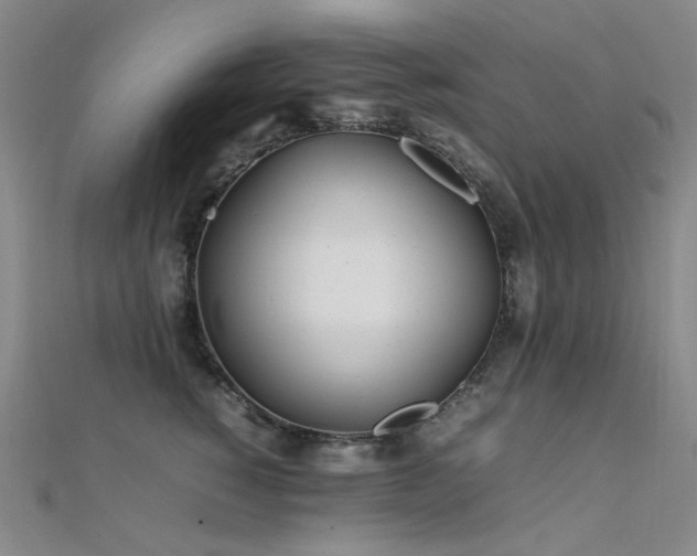X0000112370760200908131517