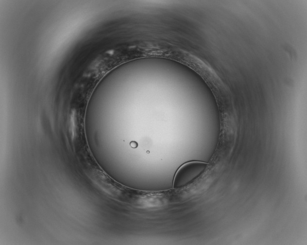 X0000112370761200908131517