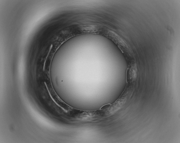 X0000112370764200908131517