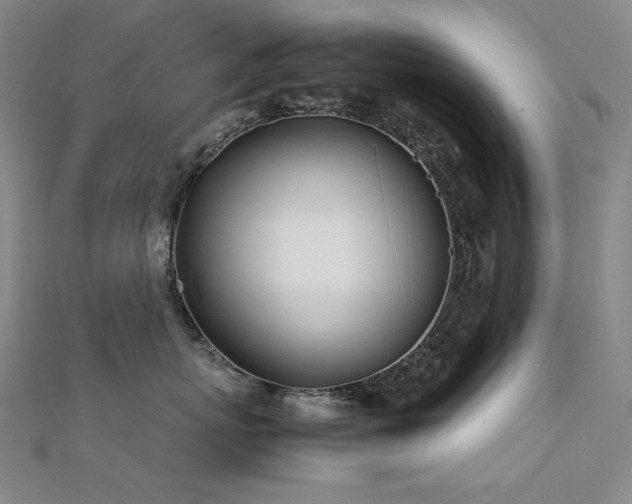 X0000112370767200908131518