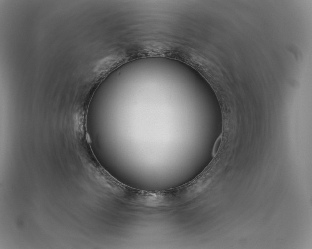 X0000112370768200908131518