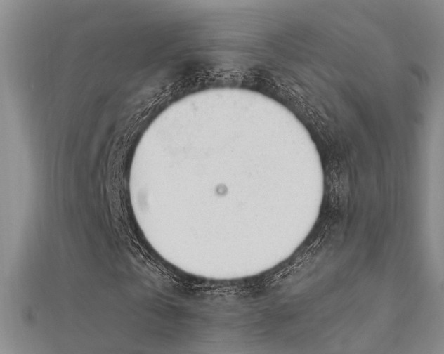X0000112370769200908131517