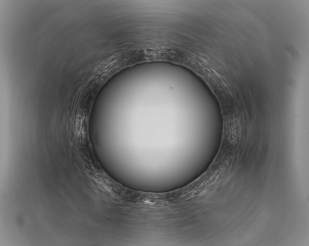 X0000112370770200908131517