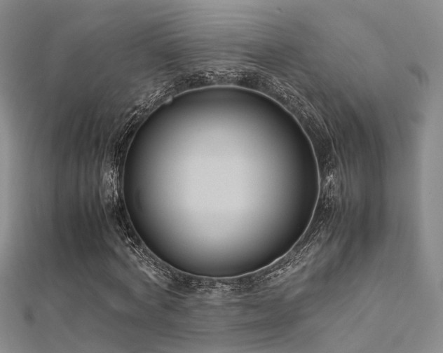 X0000112370772200908131517