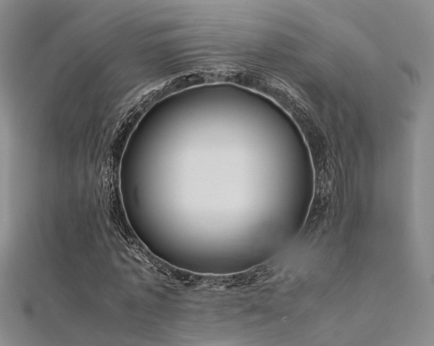 X0000112370773200908131517
