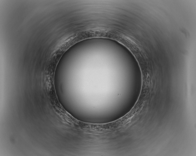 X0000112370774200908131517
