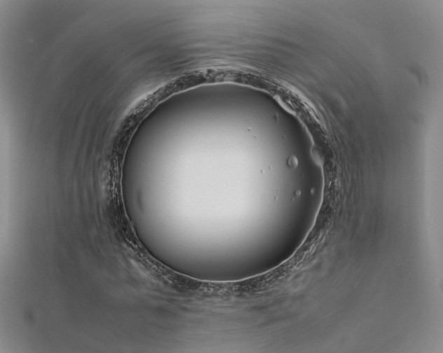 X0000112370775200908131517