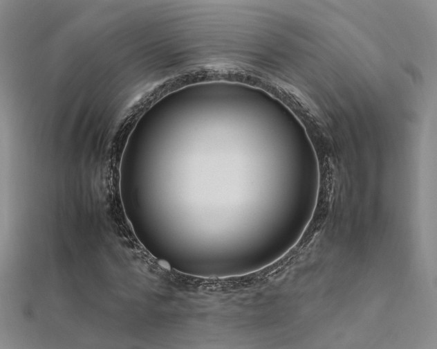 X0000112370776200908131517