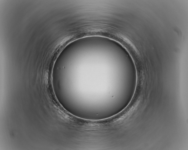 X0000112370777200908131517
