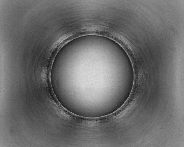 X0000112370778200908131517