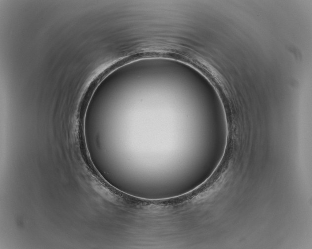 X0000112370779200908131517