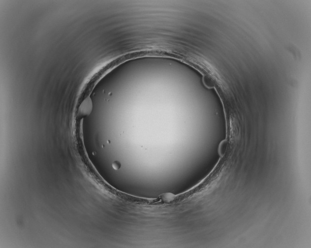 X0000112370780200908131517