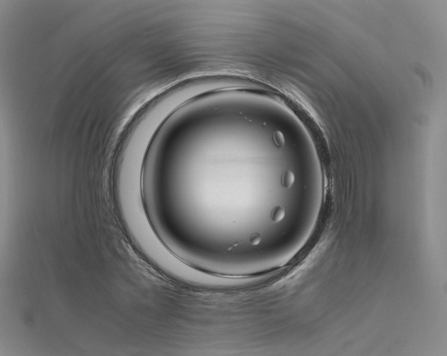X0000112370781200908131517