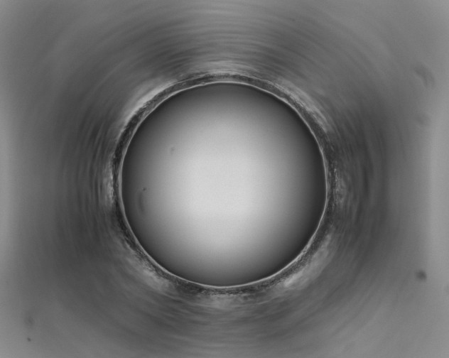 X0000112370782200908131517