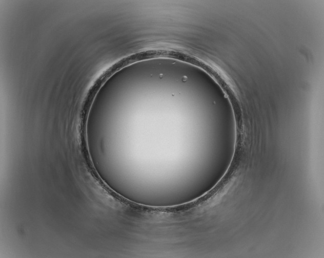 X0000112370783200908131517