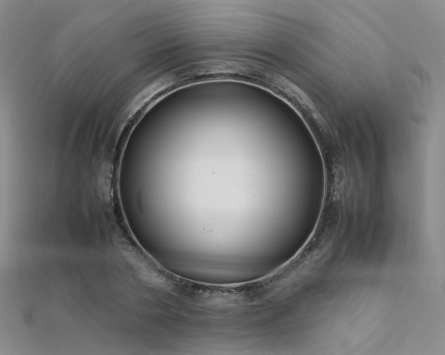 X0000112370786200908131517