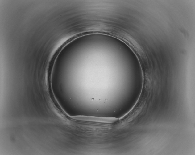 X0000112370788200908131517