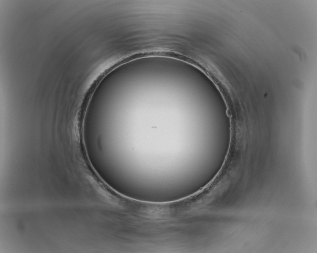 X0000112370789200908131516