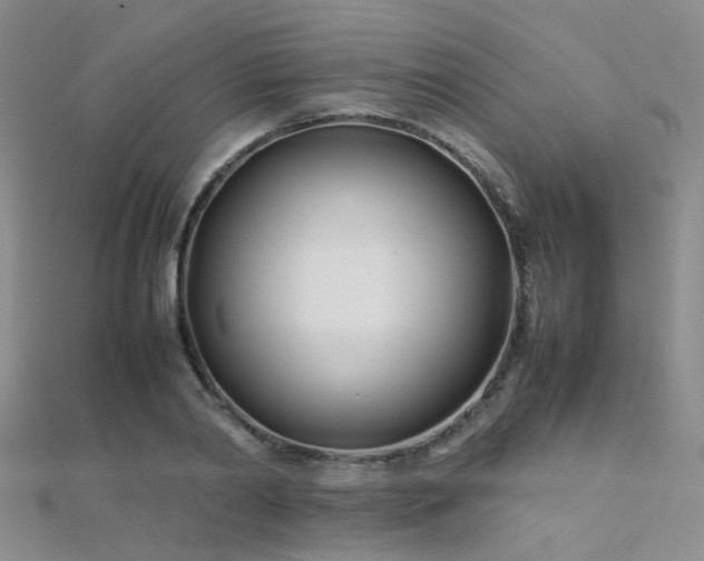 X0000112370790200908131516