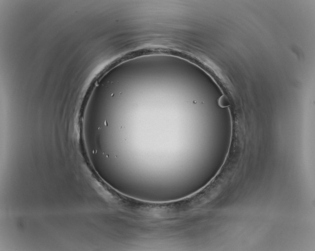 X0000112370791200908131516