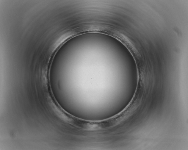 X0000112370794200908131516