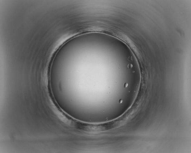 X0000112370795200908131516