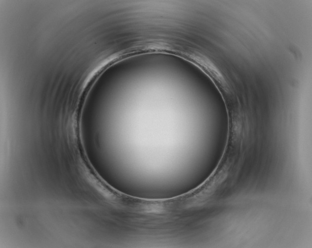 X0000112370798200908131516