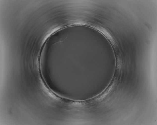 X0000112370806200908131516