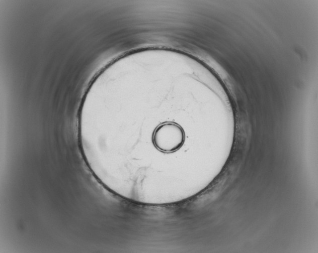 X0000112370807200908131516