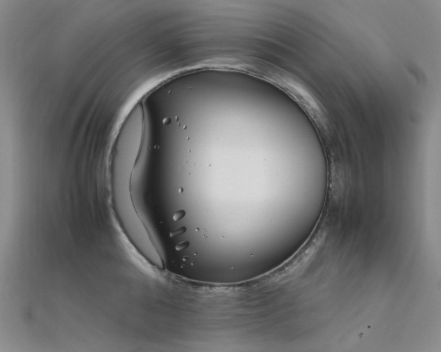 X0000112370808200908131516