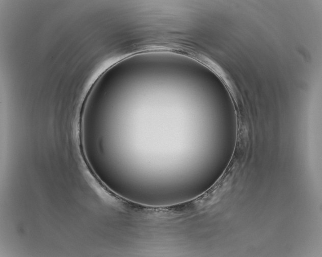 X0000112370811200908131516