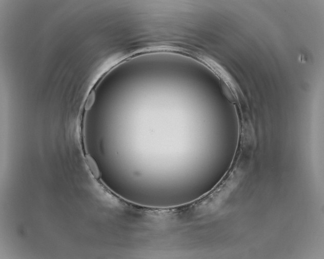 X0000112370813200908131516