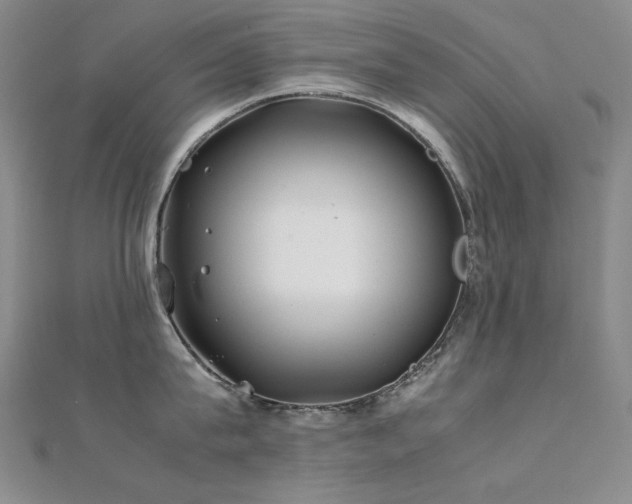 X0000112370815200908131516