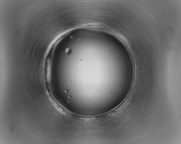 X0000112370816200908131516