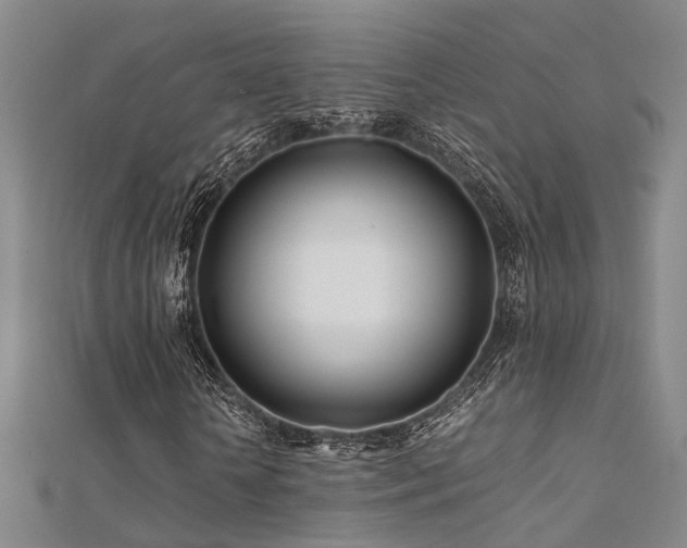 X0000112370818200908131515