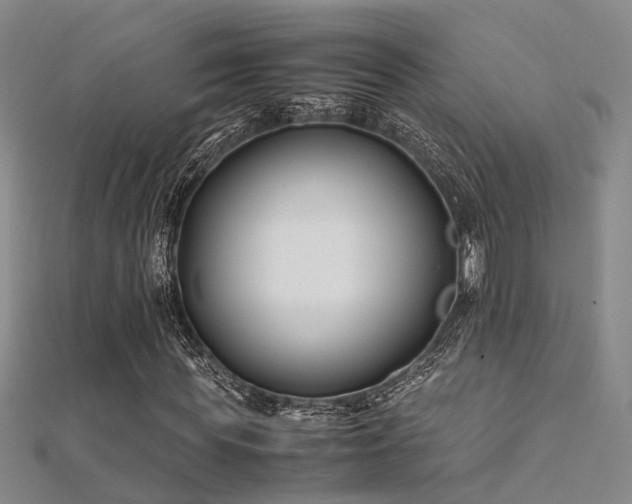 X0000112370819200908131515