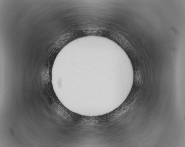 X0000112370820200908131515