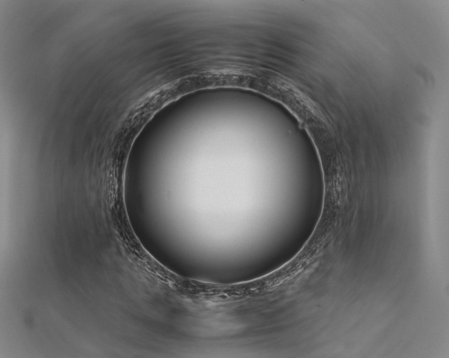 X0000112370821200908131515