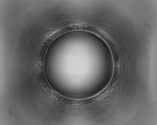 X0000112370822200908131515