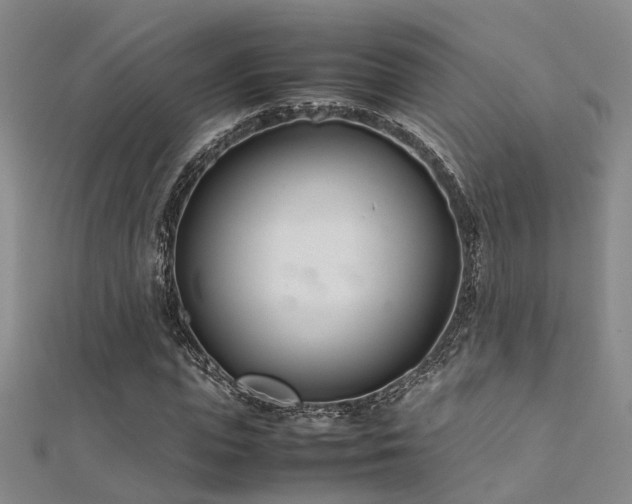 X0000112370823200908131515